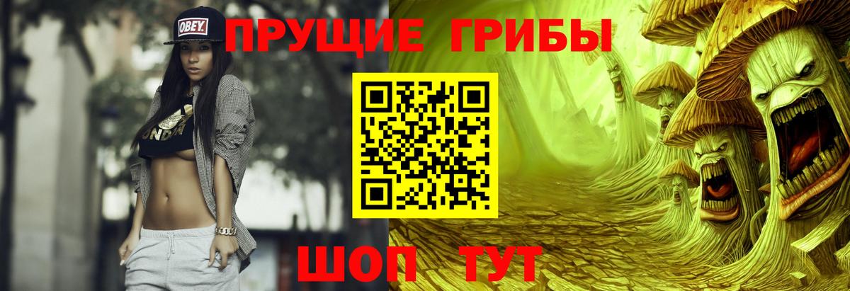 Нефтекамск  закладки  Вход с VPN  Галлюциногенные грибы Psilocybe  Галлюциногенные грибы Psilocybe 